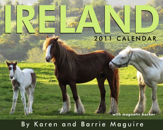 ireland calendar 2011