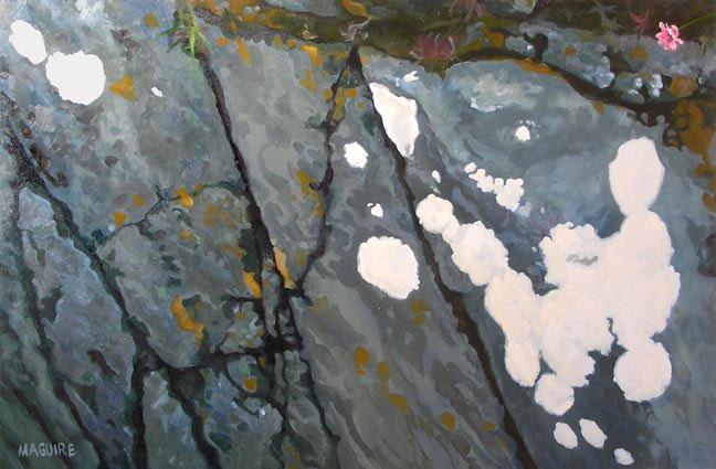 rocks