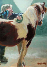 Irish Horse Fair