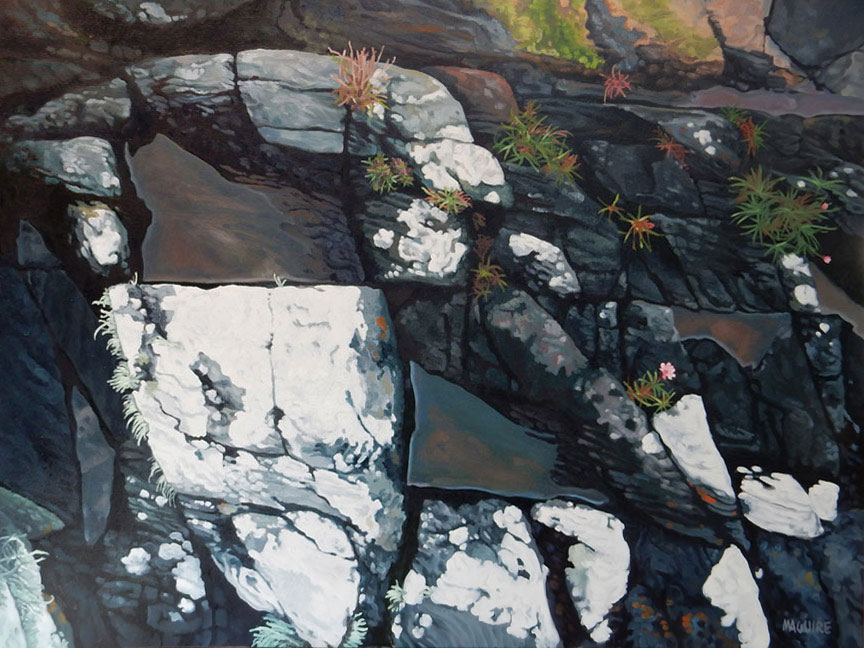 Lowtide exposes the rock shoreline  of Lough Swilly, Ireland.