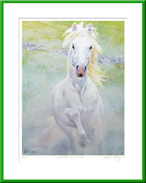 Tir na nOg Connemara pony paintings of Ireland