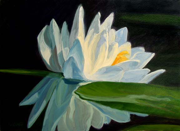 Echo Lake Lily