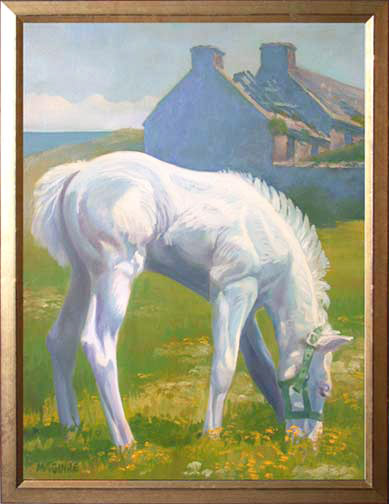 white foal connemara pony painting