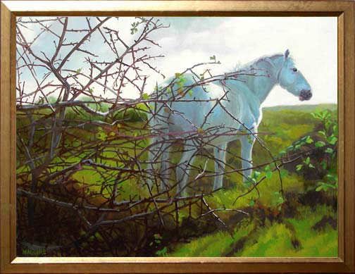 whitethorn
