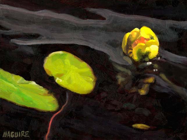 yellow lily