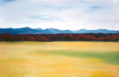 yellowfield.jpg (16795 bytes)